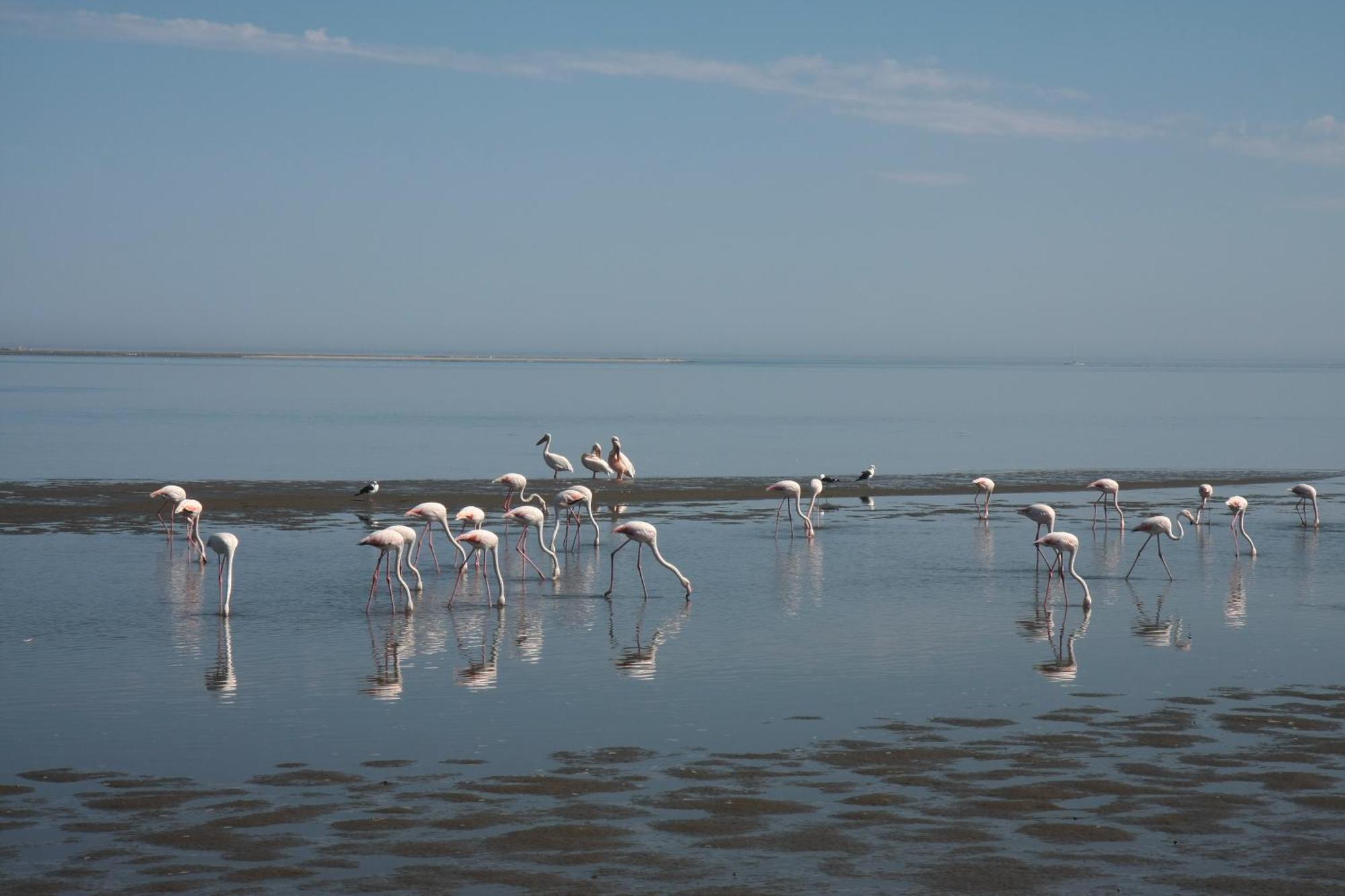 Lagoon Lodge Walvis Bay Exterior photo